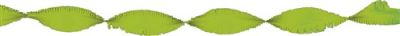Guirlande crêpe vert clair (6m)