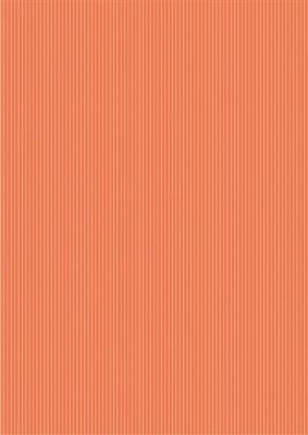 Apparaatrol Ray orange (30cmx250m)