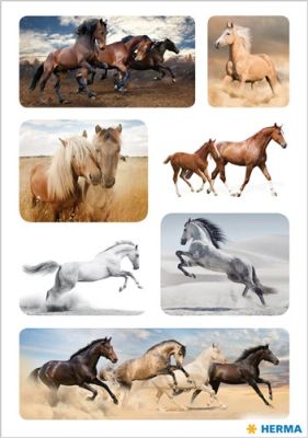 Decor stickers paarden