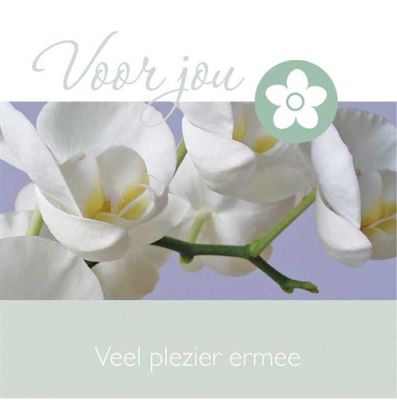 Geldkaarten orchidee
