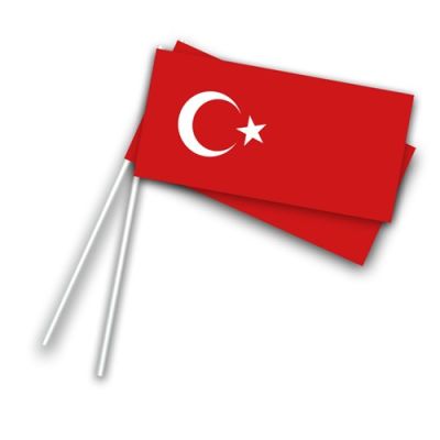 Hand flags Turkey (50pcs)