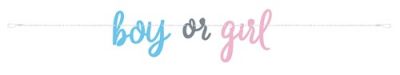 Letterslinger gender reveal ’boy or girl’ (213cm)