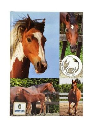 Notitieboekje paard