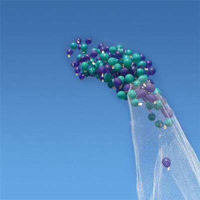 Release net (1000 ballonnen)