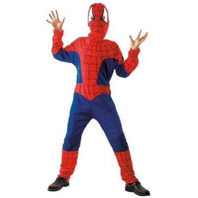 Spider Hero boys costume (105-121cm)