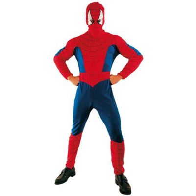 Spider Hero male costume (M/L)