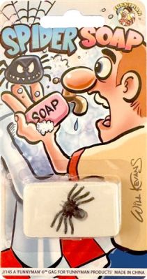 Spinnenzeep