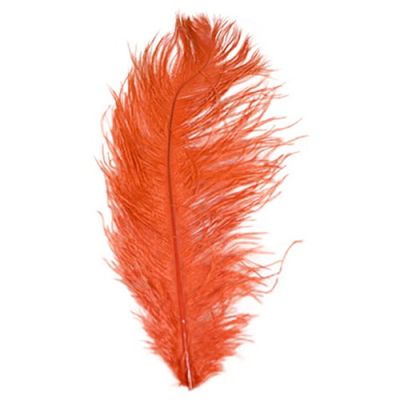 Struisveer rood (40-45cm)
