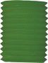 Treklampion groen (Ø20cm)
