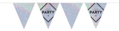 Vlaggenlijn ’Let’s party’ zilver (10m)