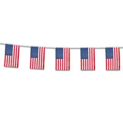 Vlaggenlijn USA (stof, 4m)